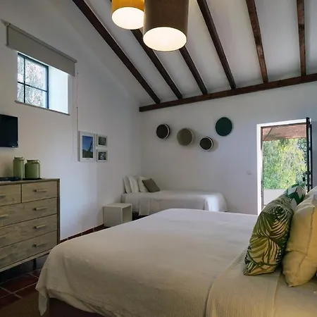 Nature Guest house 3*