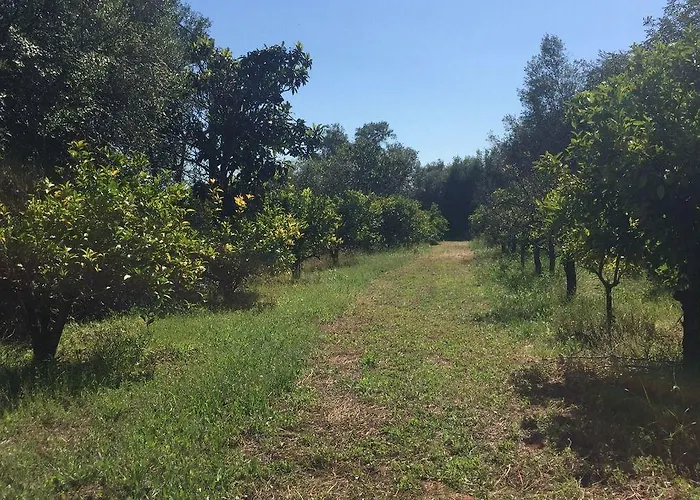 Nature בית הארחה