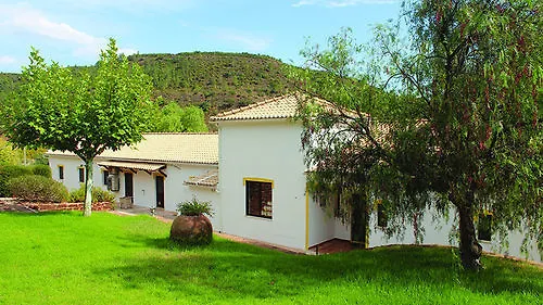 Nature 4*