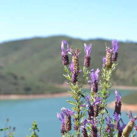 Nature 4* Vale Fuzeiros