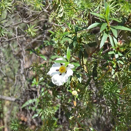 Nature 게스트하우스 Vale Fuzeiros