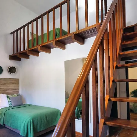 Nature Vale Fuzeiros